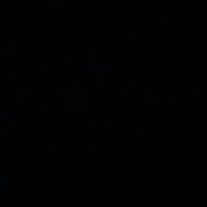 Meet your Posher, Samara